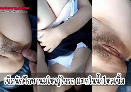 เย็ดนักศึกษานมใหญ่ในรถ แตกในน้ำไหลเยิ้ม